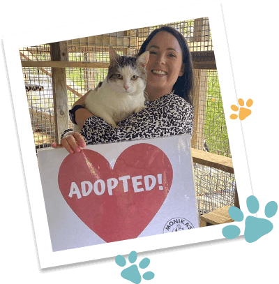 Contact Doggies Rescue