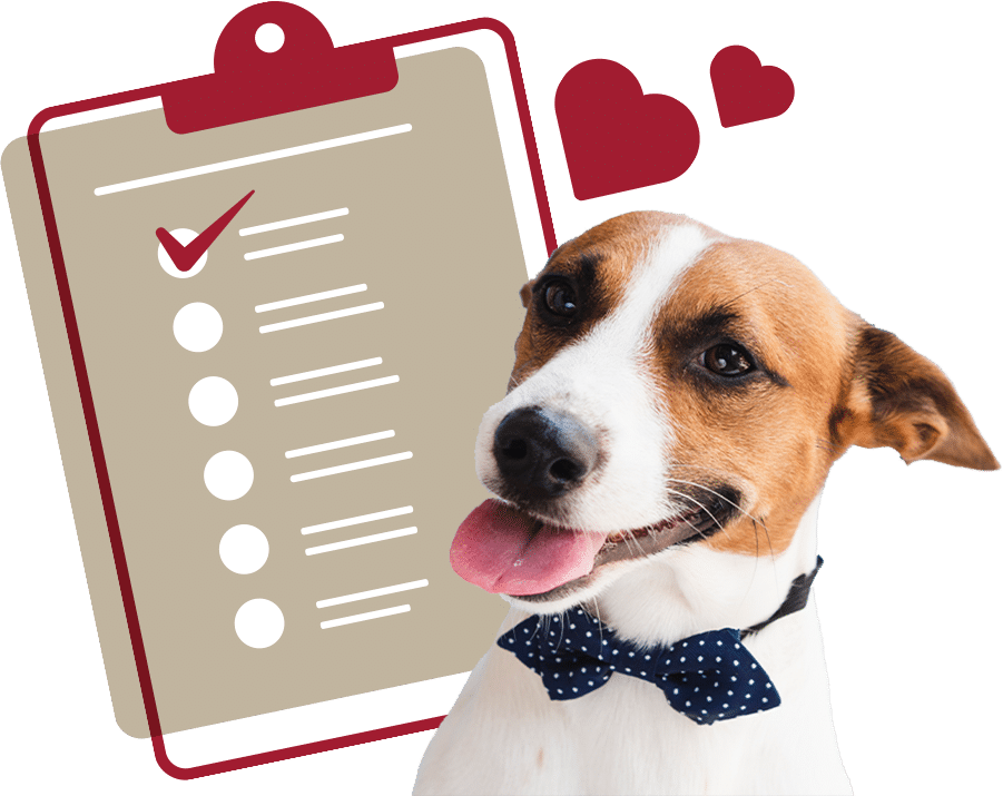 doggie rescue forms
