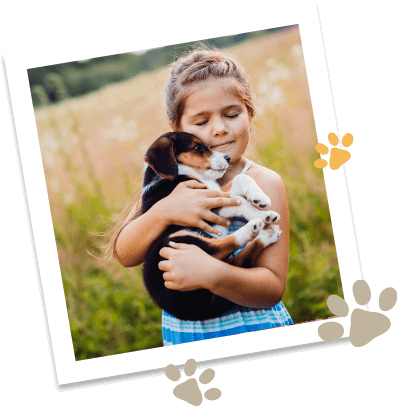 Doggie Rescue Img 13