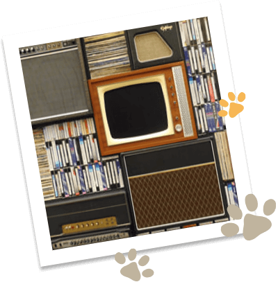 Doggie Rescue Media Archives (1)