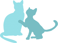 icon bonded cat pairs