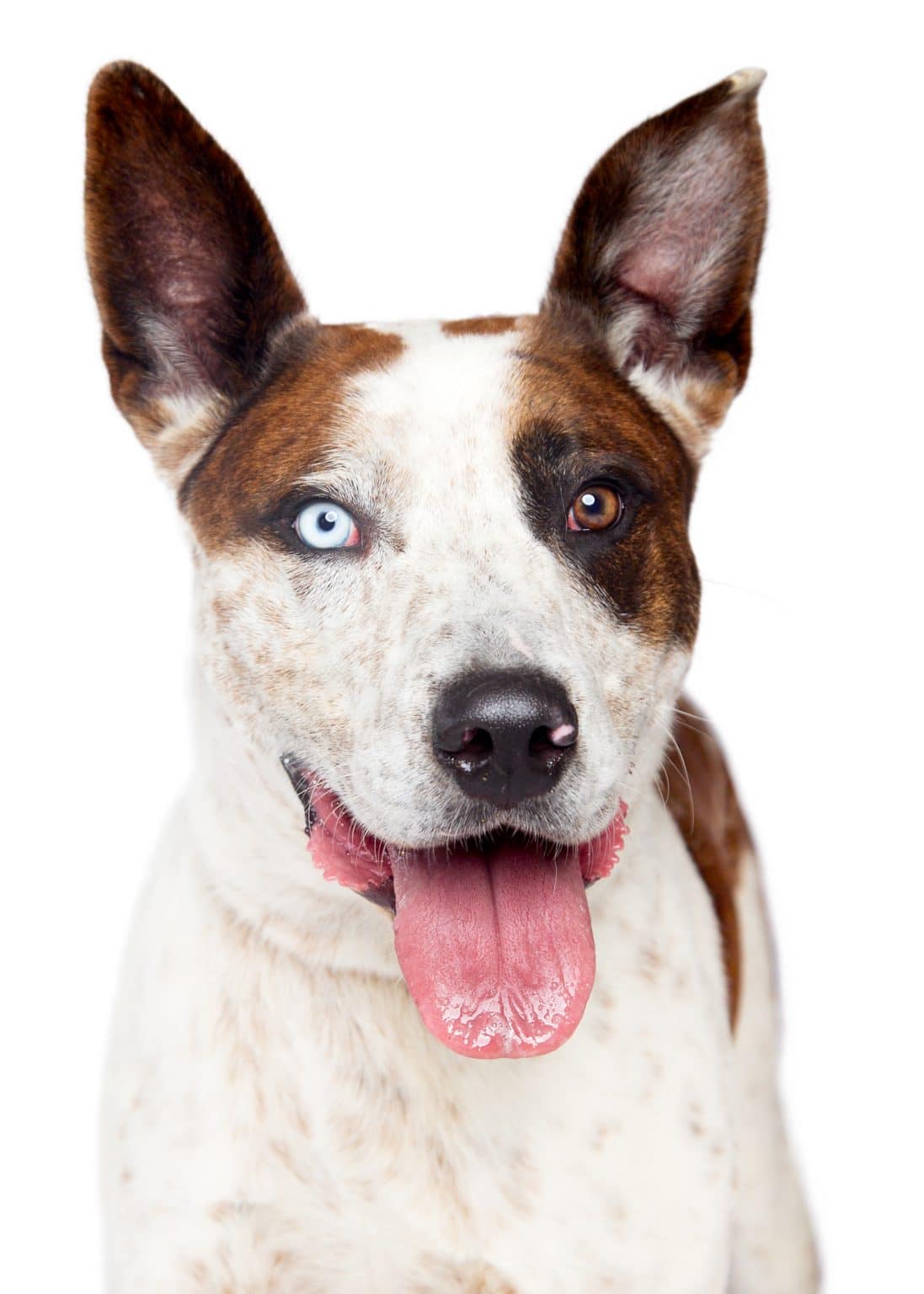 Breezy_Monikas June1504 (1)