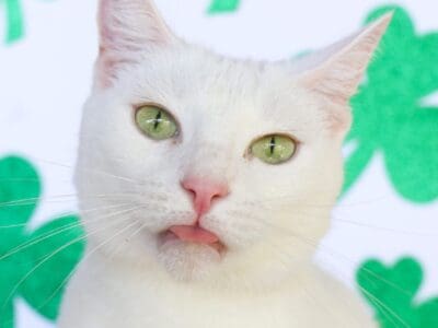Emerald (7)