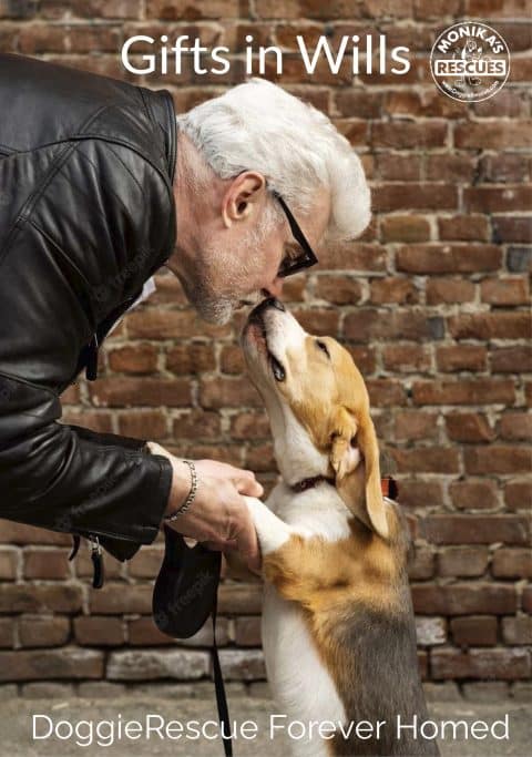 Forever Homed Program