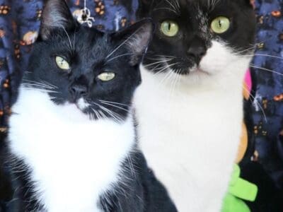 Mrs Darbus &amp; Zeke