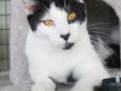 BEN (PREVIOUSLY CARLOS)