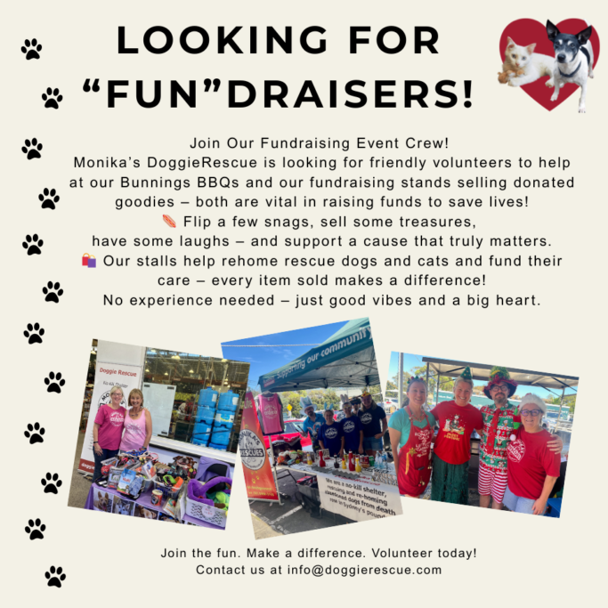 Volunteer Roles Website