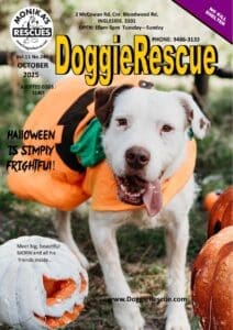 DR Mag oct 25 DR Mag oct 25