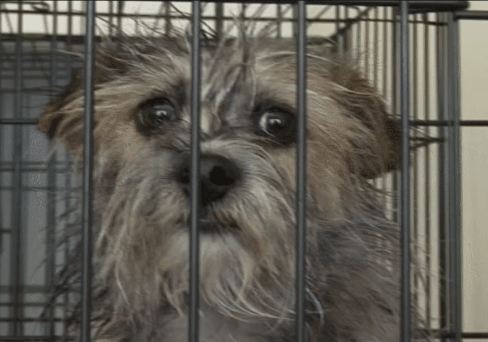 Screenshot 2025-10-25 at 11.47.56 am