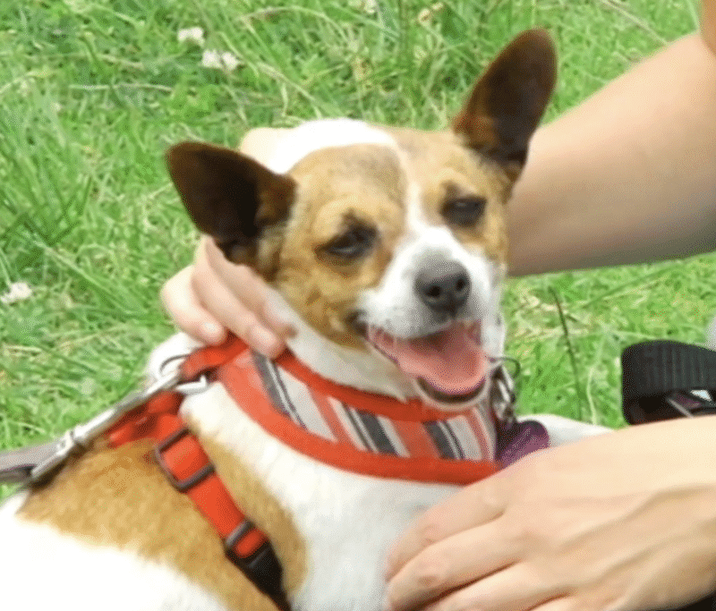 Screenshot 2025-10-30 at 2.21.27 pm