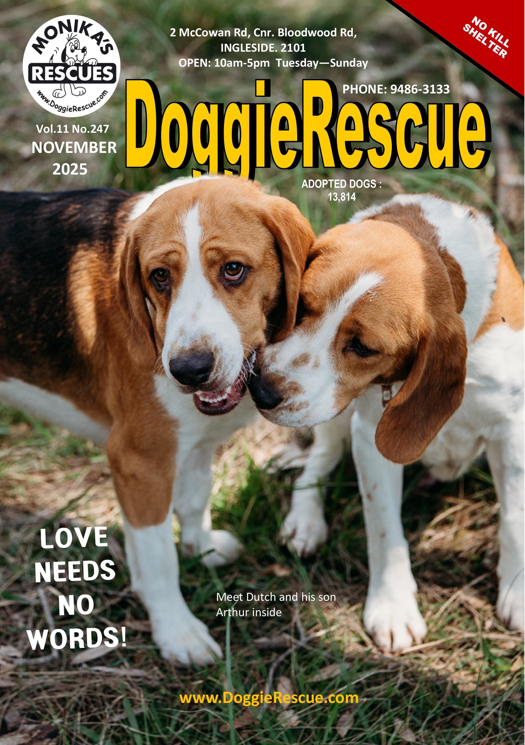 DR Mag November 2025