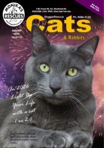 DR Cats Mag Jan 2026