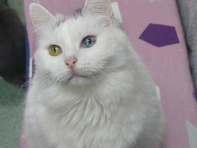 Ashleigh179
