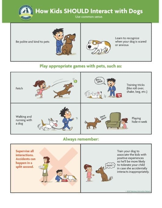 How Kids SHOULD Interact with Dogs 8.5x11in-2