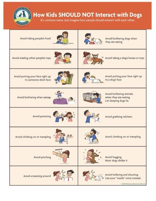 How Kids SHOULD NOT Interact 8.5x11in-1