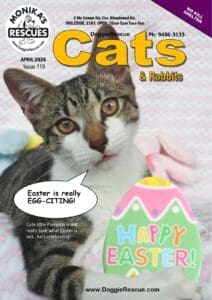 DR Cats Mag Apr 2026