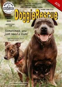 Dr Mag May 2026