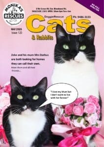 DR Cats Mag May 2026
