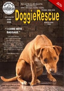 Dr Mag June 2026