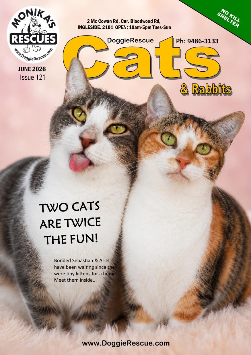 Dr Cats Mag June 2026