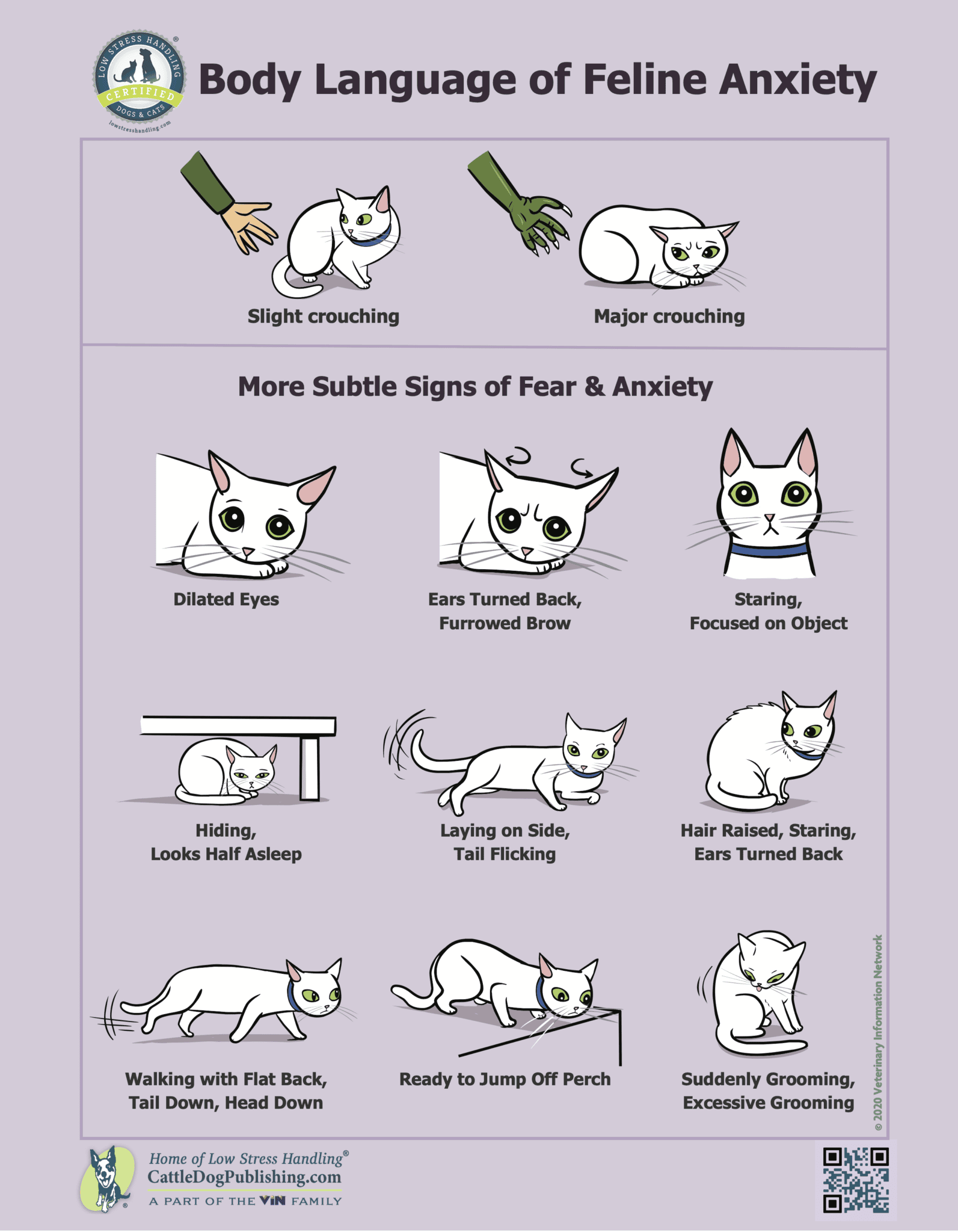Body Language of Feline Anxiety 8.5x11-1