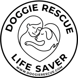 Life Saver logo 2026