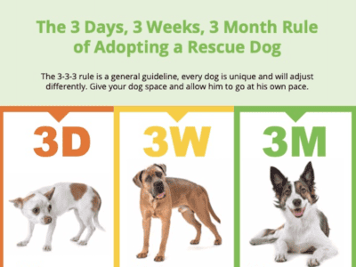 3 by 3 featured image