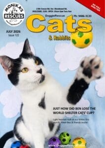 DR Cats Mag July 2026