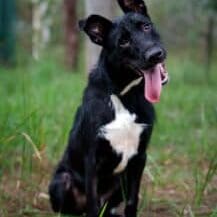 03 Monikas_-009-Edit