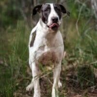 04 Monikas_-007-Edit