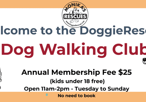 DR Dog Walking Club Sign