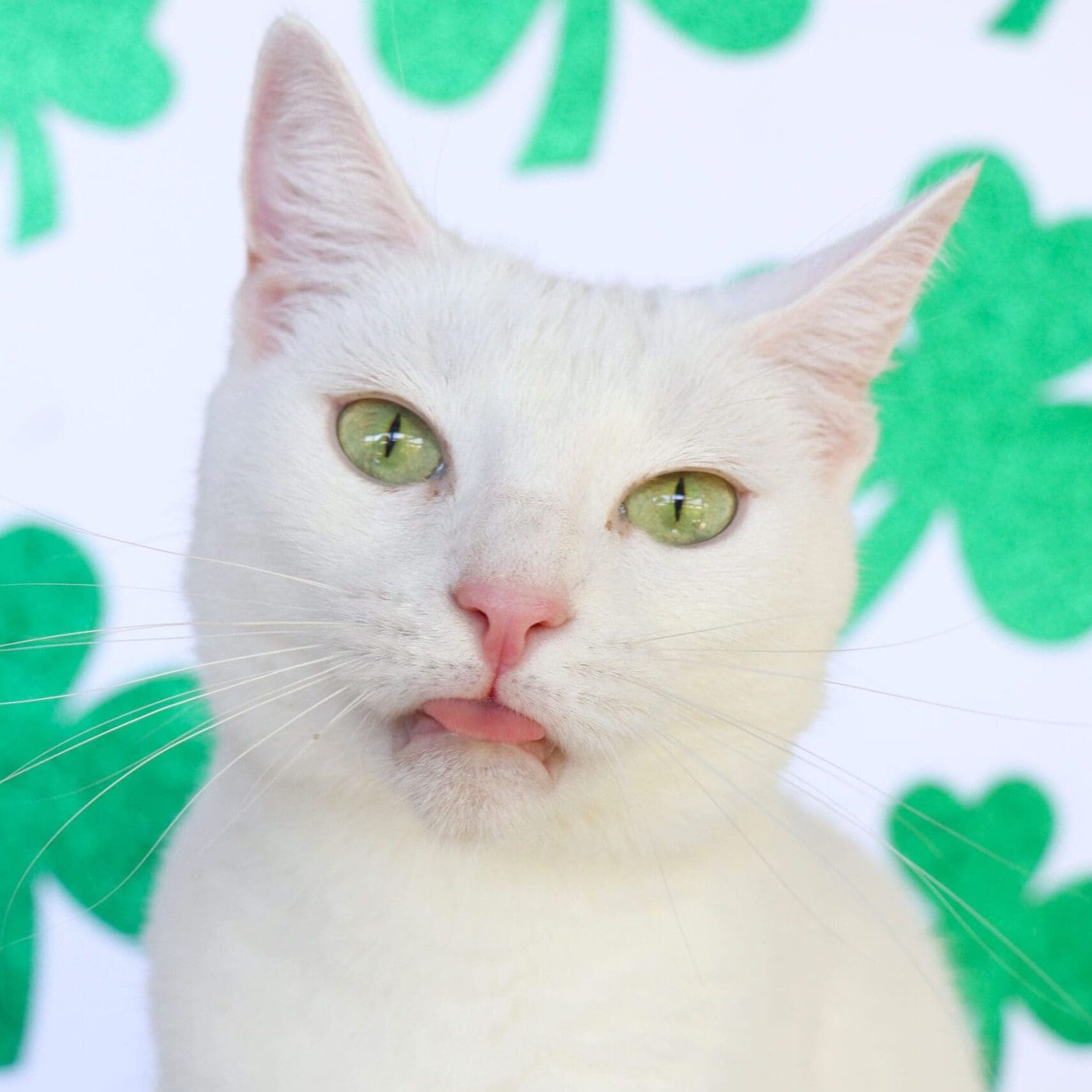 Emerald (7)