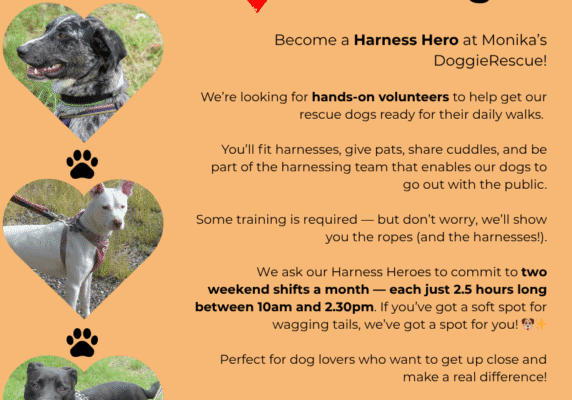 Harness Heroes