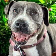 Photoroom_20250705_163435