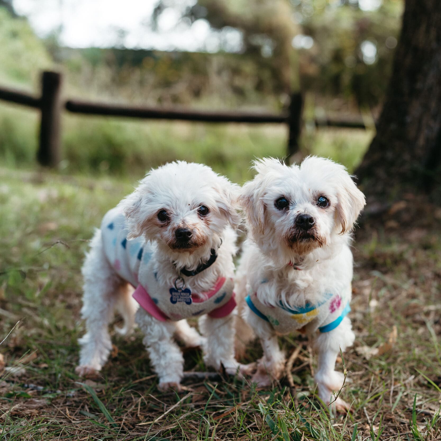 Sally and Betty prof