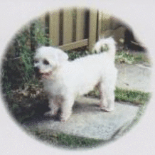 Screen Shot 2020-12-15 at 3.09.26 pm