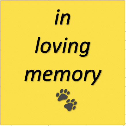 In Loving Memory