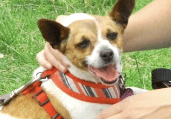 Screenshot 2025-10-30 at 2.21.27 pm