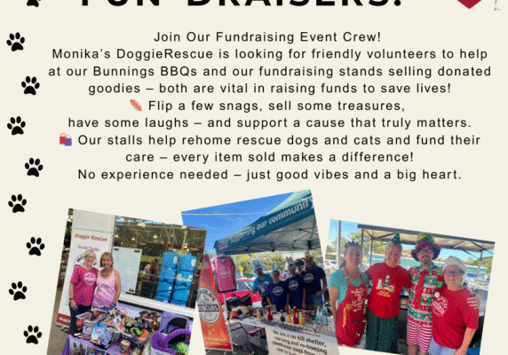 Volunteer Roles Website