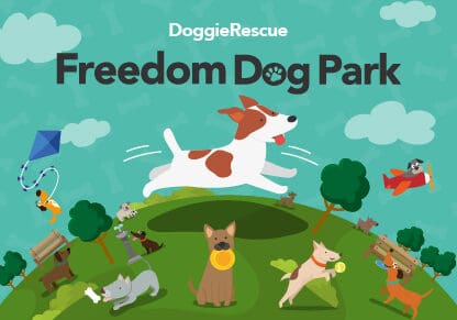 freedom-dogpark-flyer