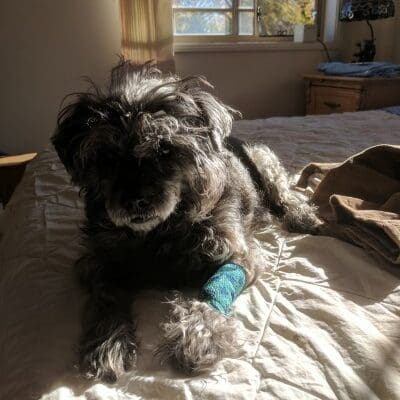 memorial-barney-cairo